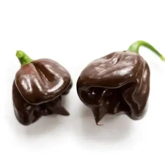 BLACK STRINGER PEPPER  Seeds, Capsicum annuum cally Grown - Caribbean garden seed