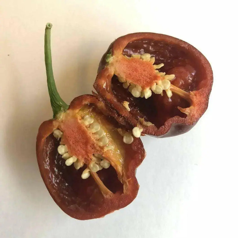 BLACK STRINGER PEPPER  Seeds, Capsicum annuum cally Grown - Caribbean garden seed