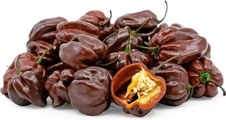 BLACK STRINGER PEPPER  Seeds, Capsicum annuum cally Grown - Caribbean garden seed