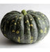BLISS Pumpkin Seed,Cucurbita moschata, Spiciality  winter Squash - Caribbean garden seed