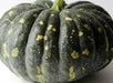 BLISS Pumpkin Seed,Cucurbita moschata, Spiciality  winter Squash - Caribbean garden seed