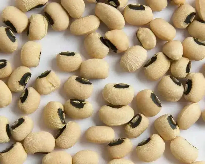 Blackeyed Pea ,Non-GMO ancient Heirloom, Southern cowpeas - Caribbean garden seed