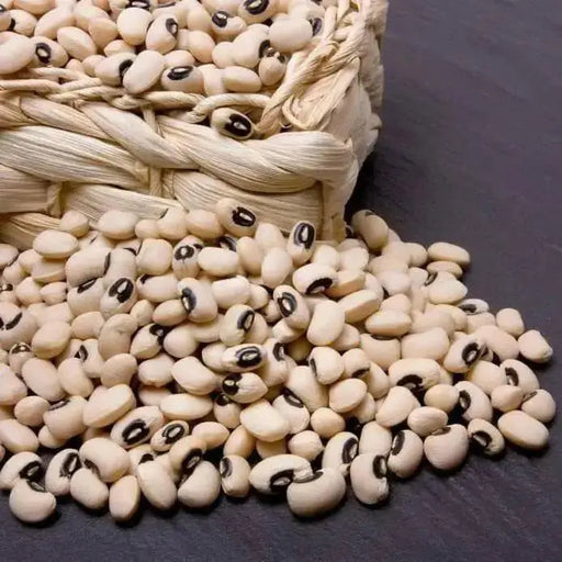 Blackeyed Pea ,Non-GMO ancient Heirloom, Southern cowpeas - Caribbean garden seed