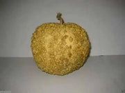 BLISTER GOURD SEEDS, Apple shape,(Lagenaria siceraria) Heirloom - Caribbean garden seed