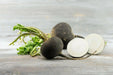 BLACK RADISH SEEDS,  HIRLOOM Vegetable, SPANISH RADISH - Caribbean garden seed