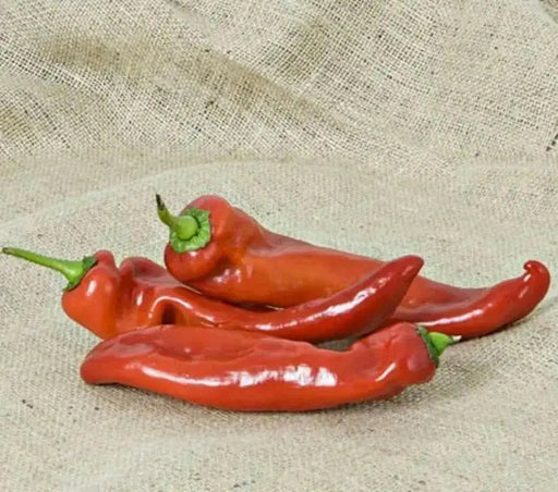 Boldog Hungarian Spice Paprika ,  Pepper SEEDS, (Capsicum annuum) - Caribbean garden seed