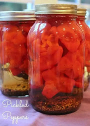 Brazilian Starfish Chilli Pepper - Capsicum Baccatum, Rare ,Exotic ! - Caribbean garden seed