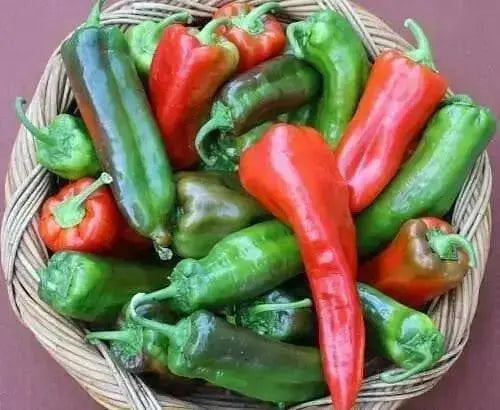 Bull horn Pepper SEEDS .Italian Sweet Pepper,Heirloom , Capsicum annuum - Caribbean garden seed