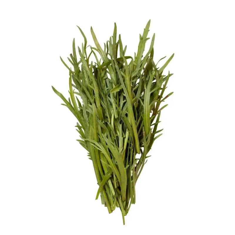 BUCK'S HORN PLANTAIN MINUTINA SEEDS - Caribbean garden seed