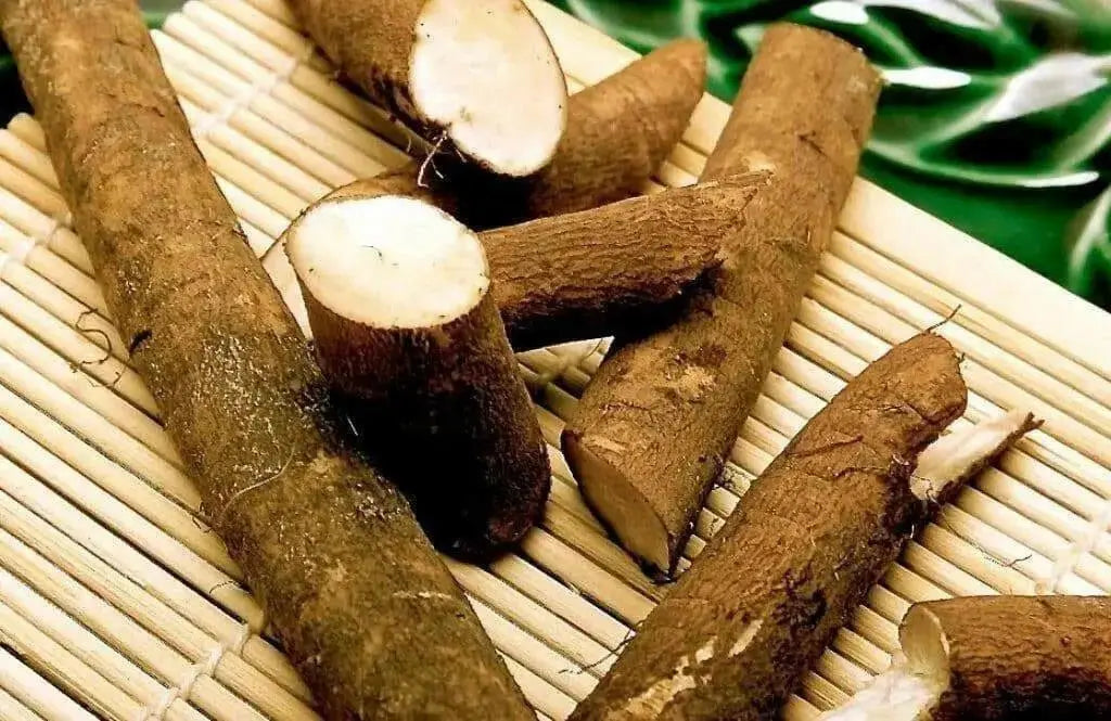 Burdock ROOT Seeds Asian Vegetable - Caribbean garden seed