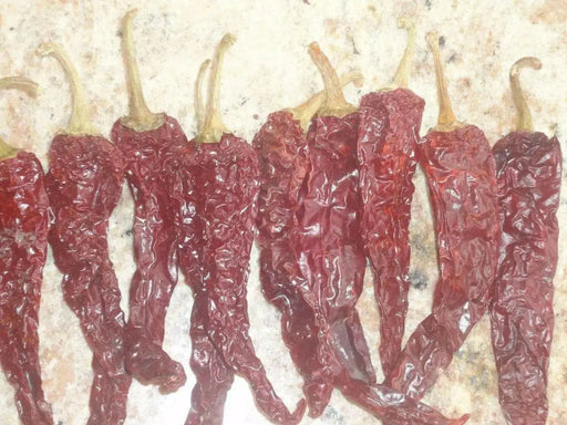 Byadgi Chilli Pepper Seeds , Capsicum Annuum, HOT - Caribbean garden seed