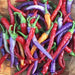BVENA MULATO Pepper (Seeds) ORNAMENTAL Edible, PERENNIAL - Caribbean garden seed