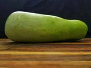 Calabash Long" Edible bottle gourd ,Asian vegetable seed - Caribbean garden seed