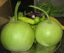 Calabash Gourd Seeds (Asian vegetable) "Calabash Round" - Caribbean garden seed