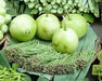 Calabash Gourd Seeds (Asian vegetable) "Calabash Round" - Caribbean garden seed