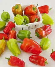 Cajun Belle Pepper Seeds - Capsicum annuum , Mild - Caribbean garden seed