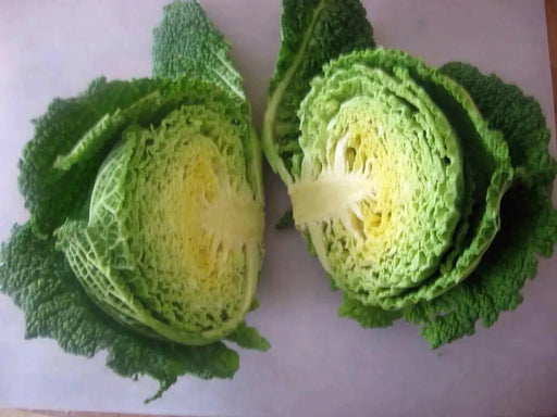 Cabbage Seeds - Savoy Perfection, ASIAN VEGETABLE - Caribbean garden seed