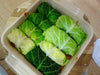 Cabbage Seeds - Savoy Perfection, ASIAN VEGETABLE - Caribbean garden seed