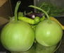Calabash Round SEEDS, Edible bottle gourd , Asian vegetable - Caribbean garden seed