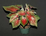 Caladium Blaze ( Bulbs) tropical foliage plants - Caribbean garden seed
