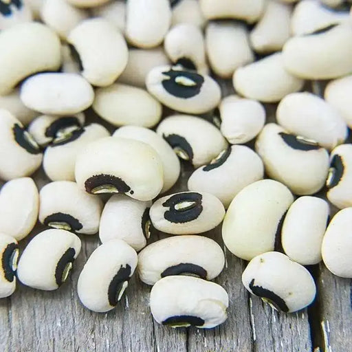 California Black Eyed #5 Cowpeas Seeds. Slightly sweet flavor with meaty texture,highly nutritious and easy to grow - Caribbean garden seed