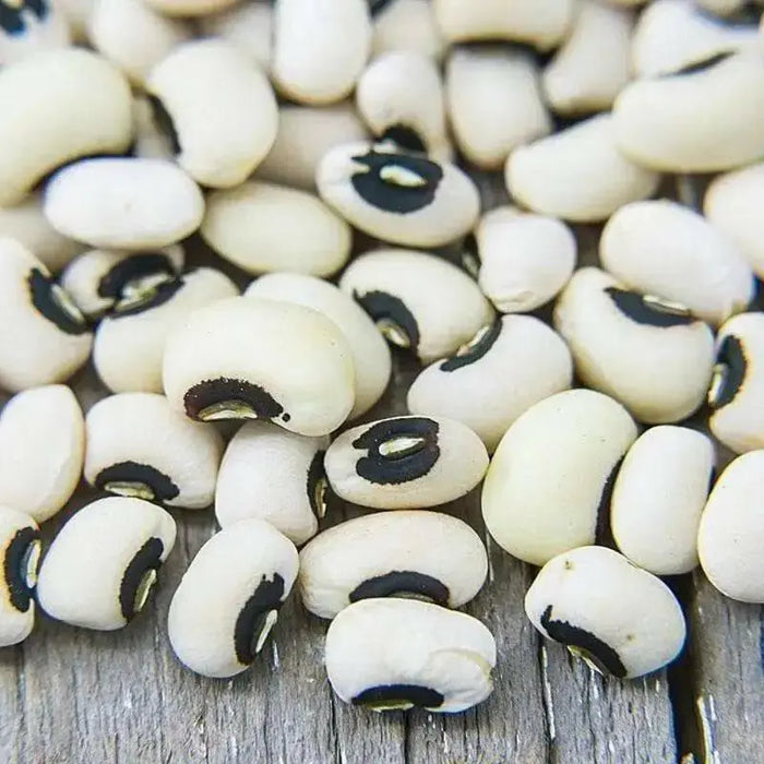 California Black Eyed #5 Cowpeas Seeds. Slightly sweet flavor with meaty texture,highly nutritious and easy to grow - Caribbean garden seed
