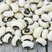 California Black Eyed #5 Cowpeas Seeds. Slightly sweet flavor with meaty texture,highly nutritious and easy to grow - Caribbean garden seed