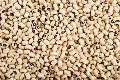 California Black Eyed #5 Cowpeas Seeds. Slightly sweet flavor with meaty texture,highly nutritious and easy to grow - Caribbean garden seed