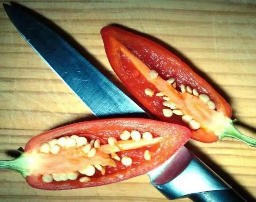 Caloro Pepper Seed, yellow jalapeno , Capsicum annuum - Caribbean garden seed