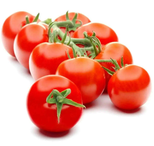 Campari Tomato,Sweet  juicy, high sugar level, low acidity! The most disease-resistant tomato we've ever seen. - Caribbean garden seed