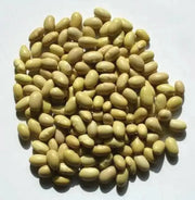 Canary Pole Bean, Heirloom Vegetable - Caribbean garden seed