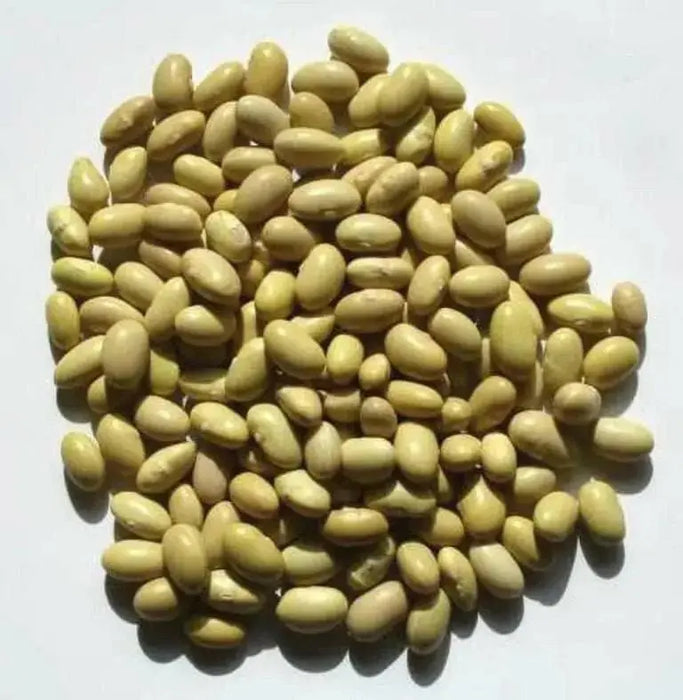 Canary Pole Bean, Heirloom Vegetable - Caribbean garden seed