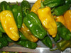 CANTINA Pepper Seed -Sweet/Mild-Great In Container From Ecuador -capsicum annuum - Caribbean garden seed