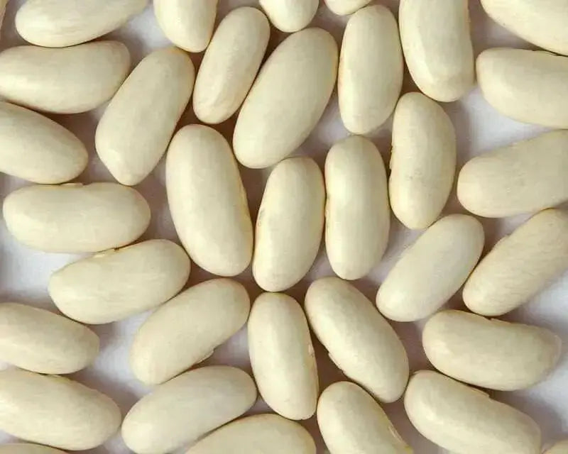 Cannellini BUSH Beans ,aka white kidney beans - Caribbean garden seed