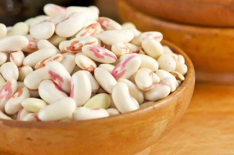 Cannellini BUSH Beans ,aka white kidney beans - Caribbean garden seed