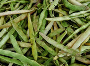 Cannellini BUSH Beans ,aka white kidney beans - Caribbean garden seed