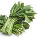 Cantonese pak choy Seeds,  Asian Vegetables,Late spring or late summer/fall - Caribbean garden seed