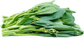 Cantonese pak choy Seeds,  Asian Vegetables,Late spring or late summer/fall - Caribbean garden seed