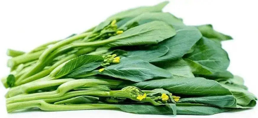 Cantonese pak choy Seeds,  Asian Vegetables,Late spring or late summer/fall - Caribbean garden seed