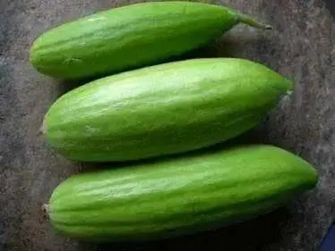 Carosello Cucumber Seeds, Italian Vegetable ,Cucumber/Melon - Caribbean garden seed