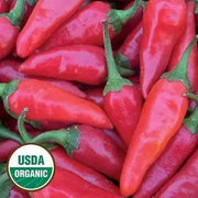 Carrot Pepper, Live PEPPER Plant, HOT PEPPER - Caribbean garden seed