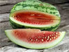 Carolina cross 180 ,Watermelon seeds - Caribbean garden seed