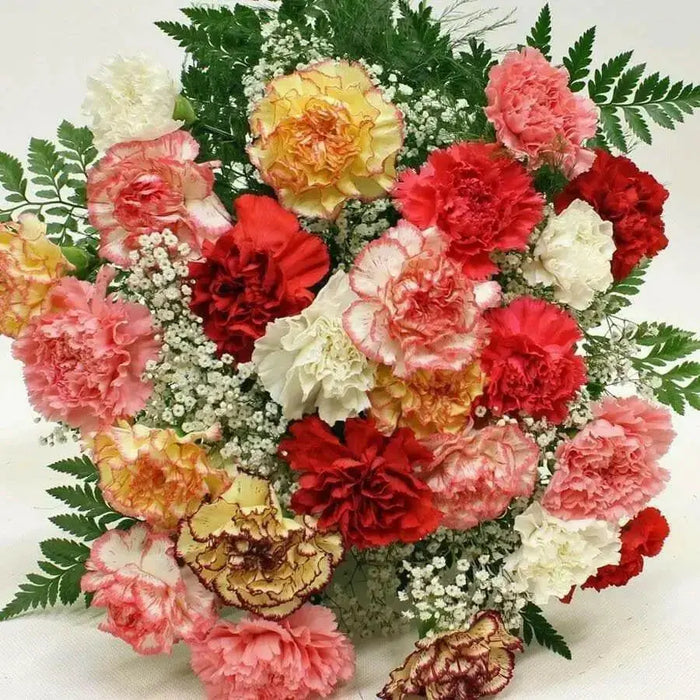 Carnation Flowers Seeds (Chabaud Mix)   Perennial - Caribbean garden seed