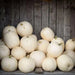 CASPER PUMPKIN SEED (Winter Squash )  Halloween Pumpkin. - Caribbean garden seed