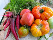 Carrot ,Rainbow Mix-Carrot Seeds (Daucus carota ) Easy to Grow - Caribbean garden seed