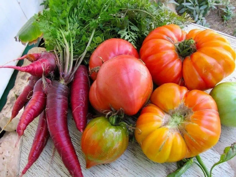 Carrot ,Rainbow Mix-Carrot Seeds (Daucus carota ) Easy to Grow - Caribbean garden seed