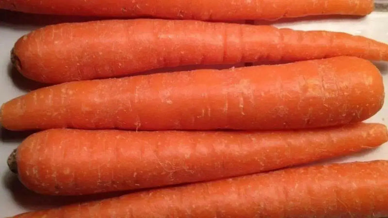 Carrot Seeds - Scarlet Nantes - Heirloom, Untreated, Open Pollinated, Vegetable ... Biannual ! - Caribbean garden seed