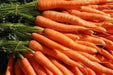 Carrot Seeds,Organic Danvers 126 Carrot(Daucus carota)  -Biennial ! - Caribbean garden seed