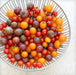 Cherry Tomato Seed (Allsort Mix) ANNUAL VEGETABLE - Caribbean garden seed