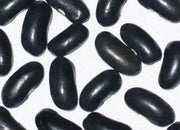 Cherokee Wax bean Seeds, (Bush Bean) heavy producer,55 days.